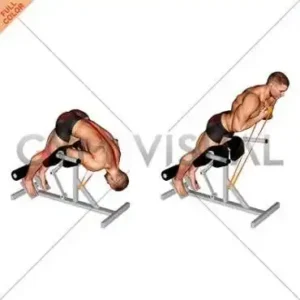 Hiperekstenzii lastik Хиперекстензии с ластик hiperekstenzii lastik